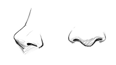 To draw a large nose, follow these steps: Draw a straight line down the center of the face. Draw two curved lines on either side of the center line, starting at the top of the line and curving outwards. Connect the two lines at the bottom with a curved line. Add shading to the sides of the nose to create depth.